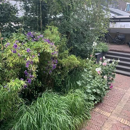 Apartment In The Heart Of Zandvoort