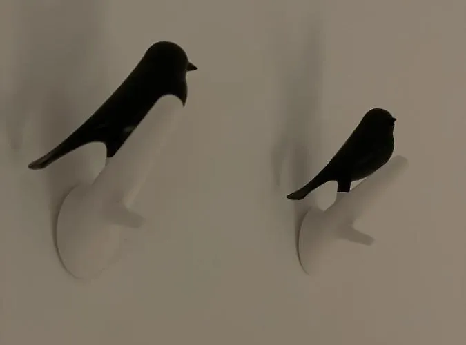 In The Heart Of 公寓 赞德沃特