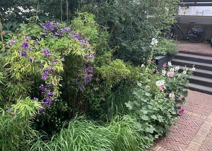 公寓 In The Heart Of 赞德沃特